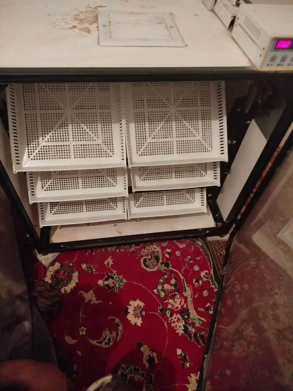 دستگاه جوجه کشی اسکندری|ماشین‌آلات صنعتی|مشهد, امام خمینی|دیوار