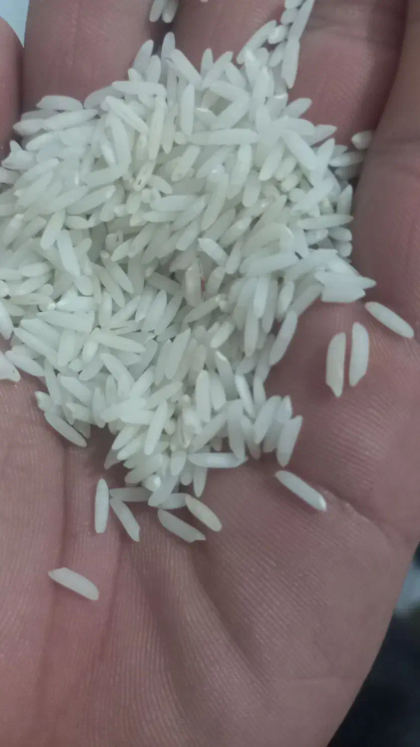 برنج هاشمی درجه یک|خوردنی و آشامیدنی|رشت, باهنر|دیوار