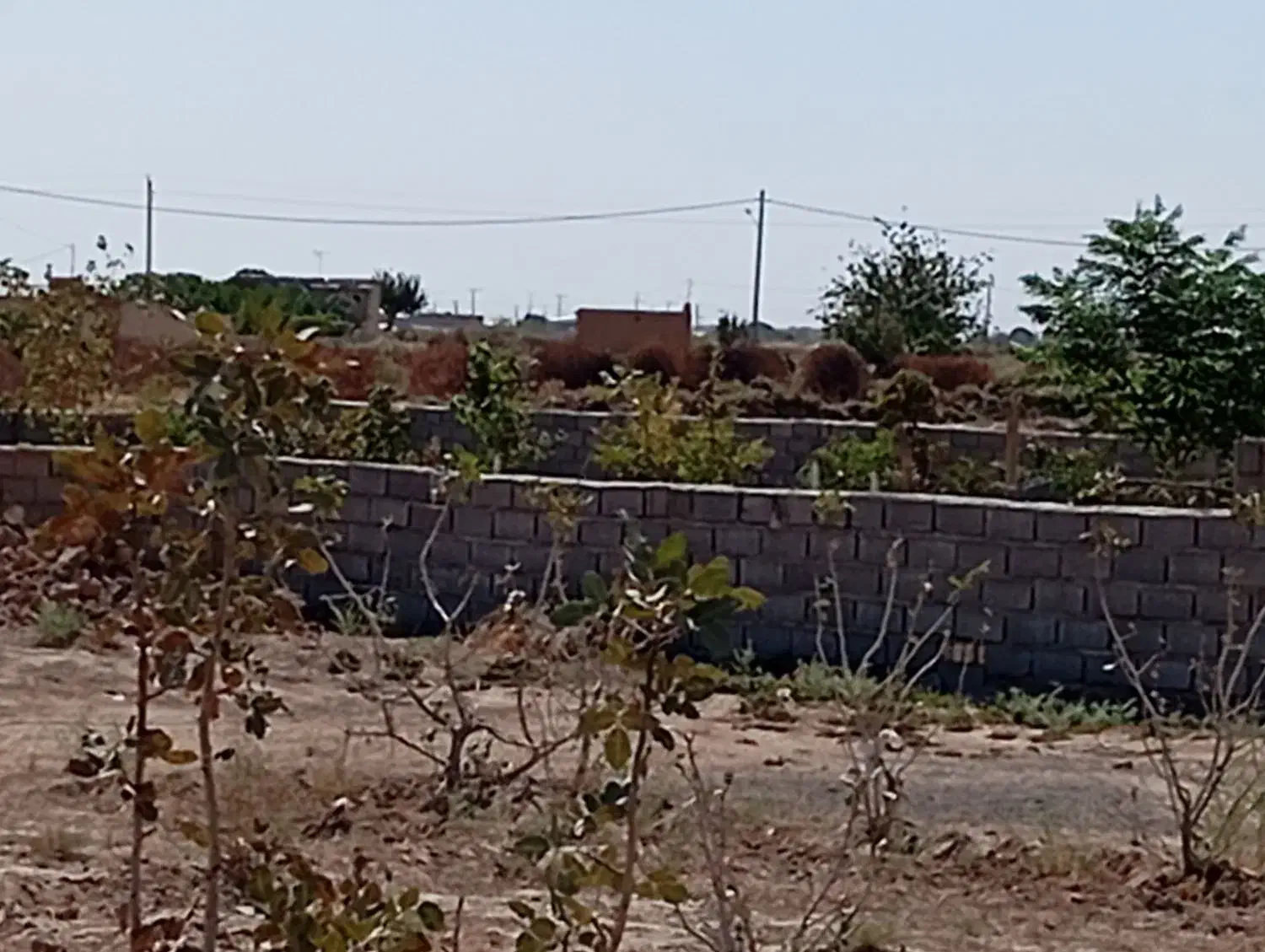 فروش زمین ۷۰۰ متری کشاورزی|فروش دفتر صنعتی، کشاورزی، تجاری|کاشان, دانشگاه|دیوار