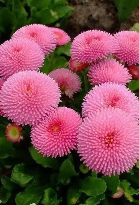 باسلام ضمانت وام میشم باپروانه کسب وچک|خدمات مالی، حسابداری، بیمه|لردگان, |دیوار