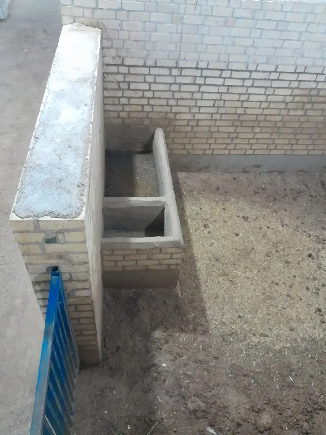 باشگاه سوارکاری چرخاب اشکذر|اجارهٔ مغازه و غرفه|اشکذر, |دیوار