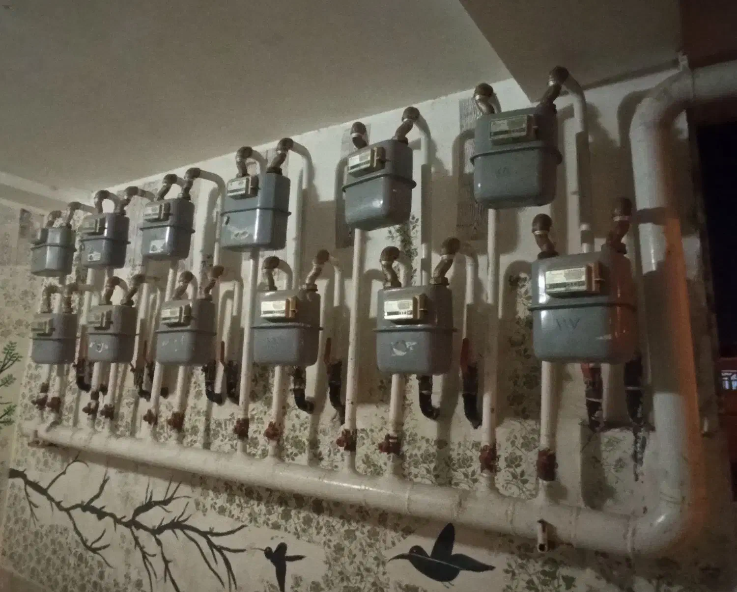 گازرسانی پذیرفته می شود|خدمات پیشه و مهارت|بیرجند, |دیوار