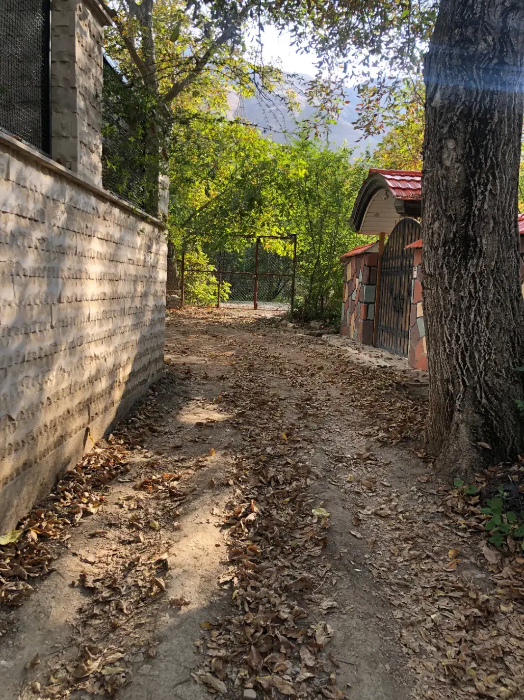 ارنگه-750متر باغچه|فروش زمین و ملک کلنگی|آسارا, |دیوار