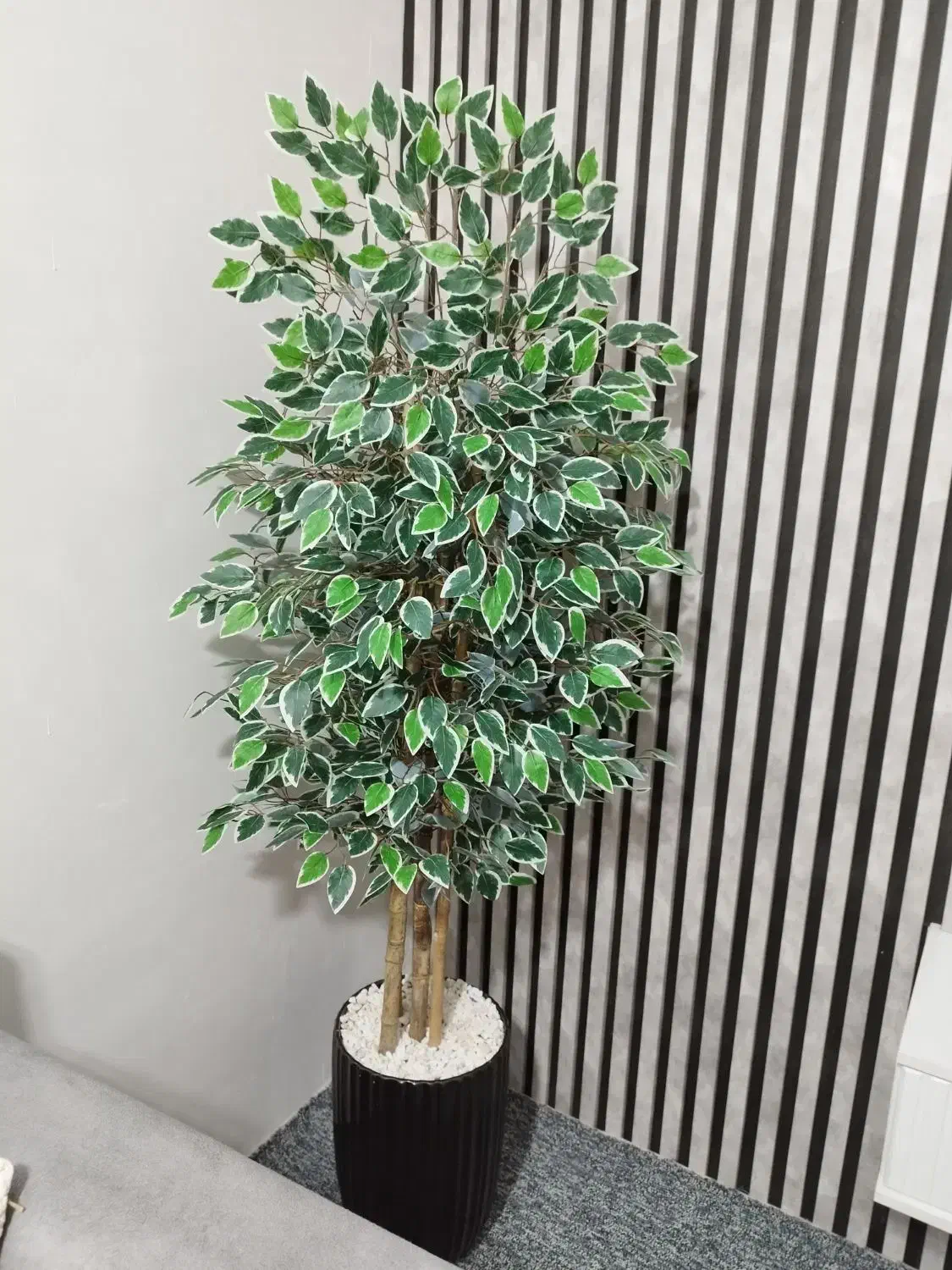 درختچه بنجامین با گلدان بزرگ مدل جدید|گل مصنوعی|اهواز, حصیرآباد|دیوار