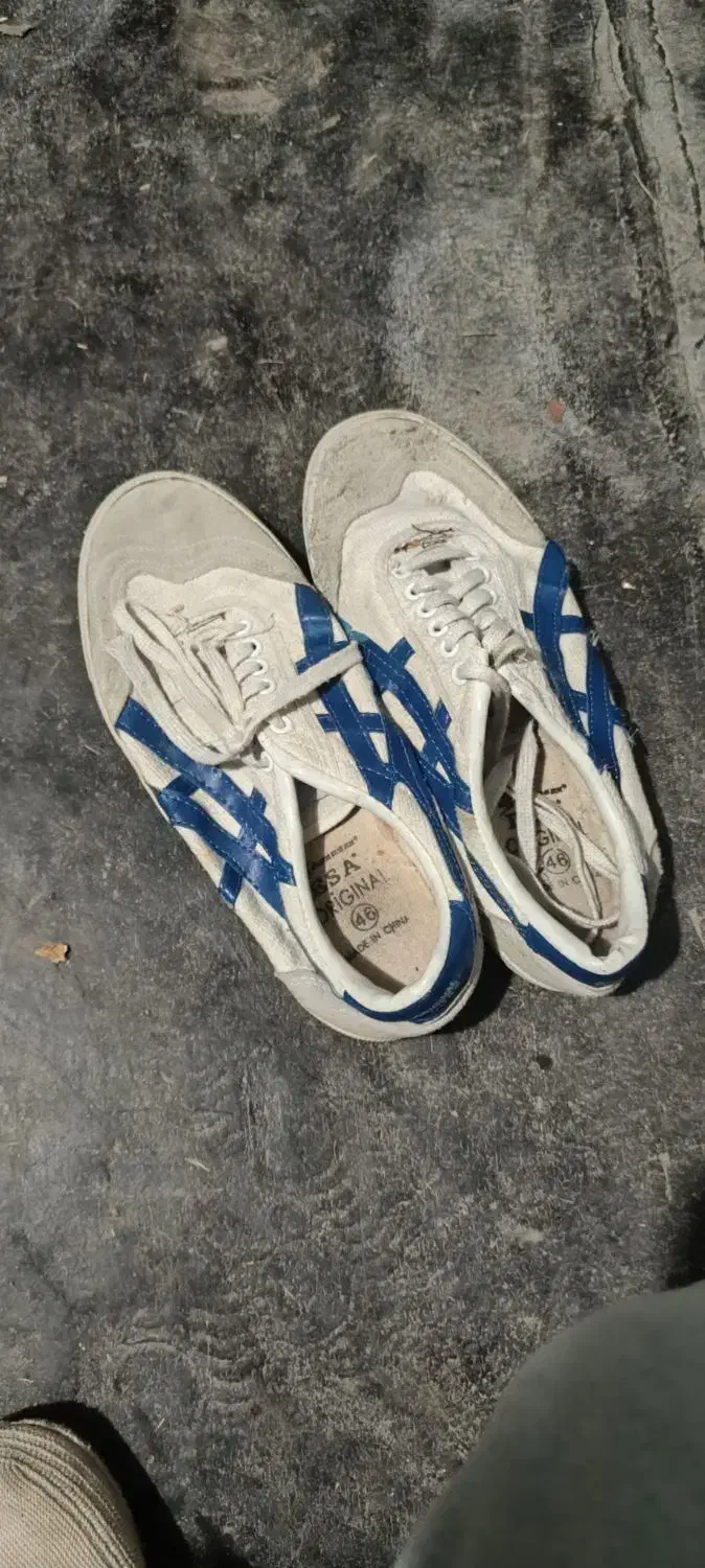 کفش سالنی تایگر|کیف، کفش، کمربند|سردشت, |دیوار