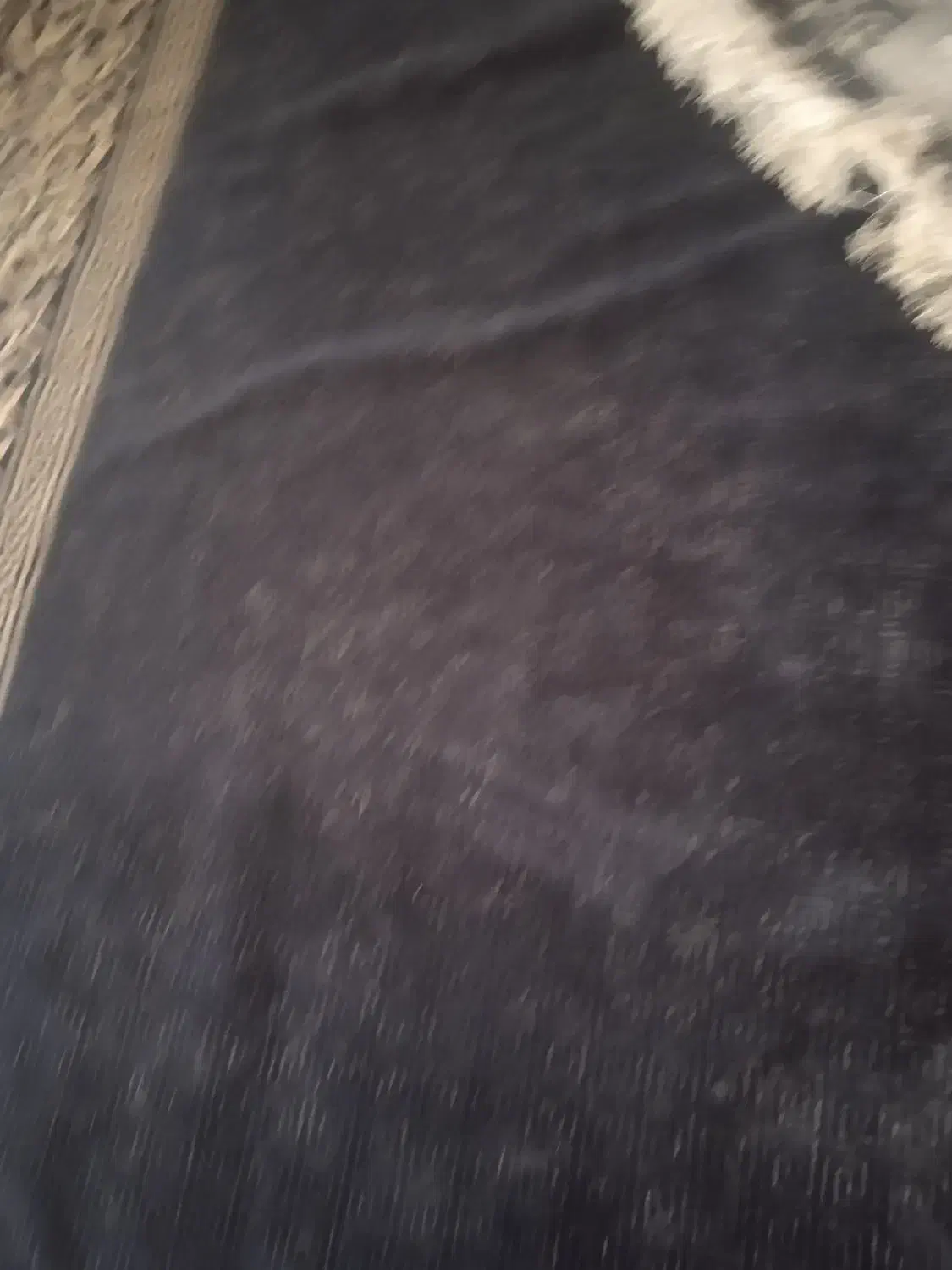 فرش 6متری.|فرش|همدان, |دیوار