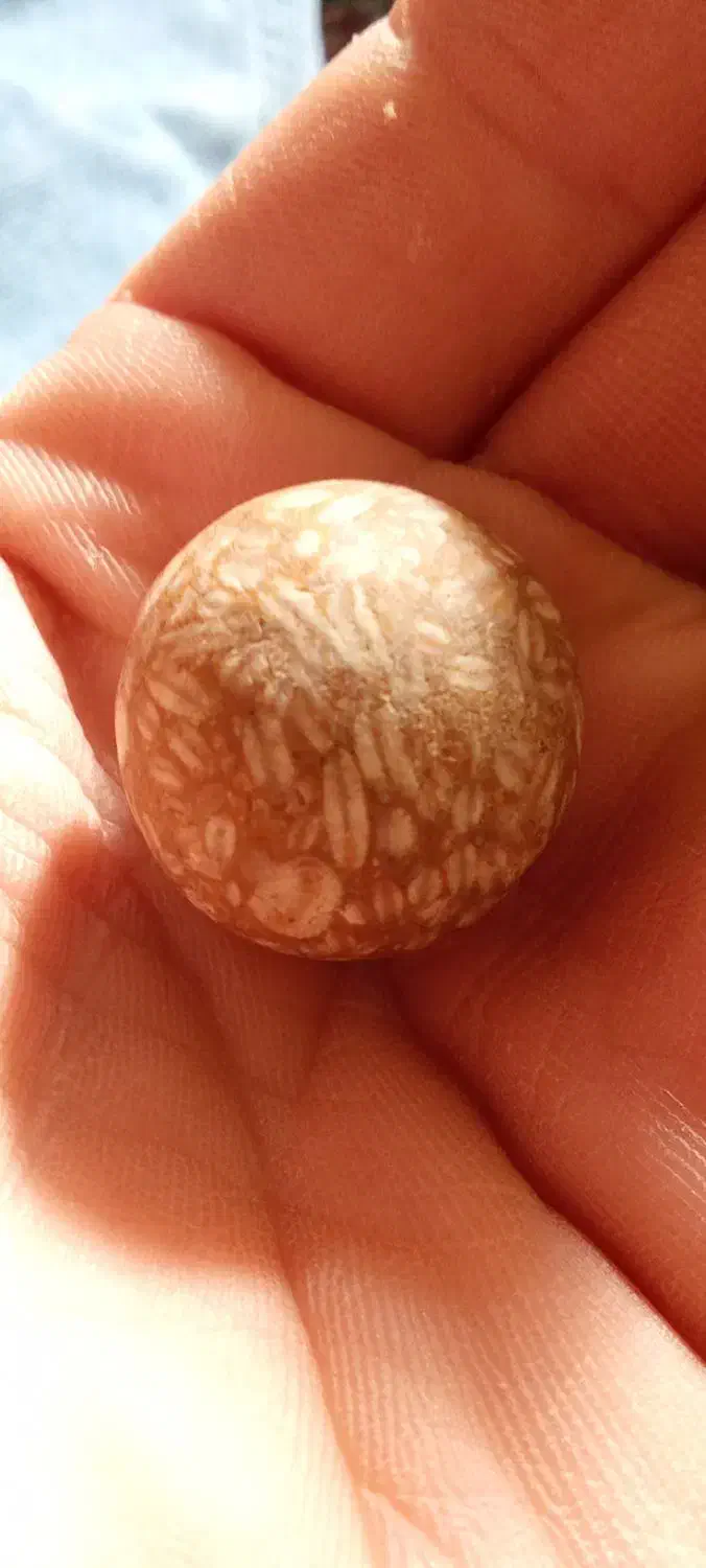 سنگ آسیاب|کلکسیون اشیاء عتیقه|معمولان, |دیوار