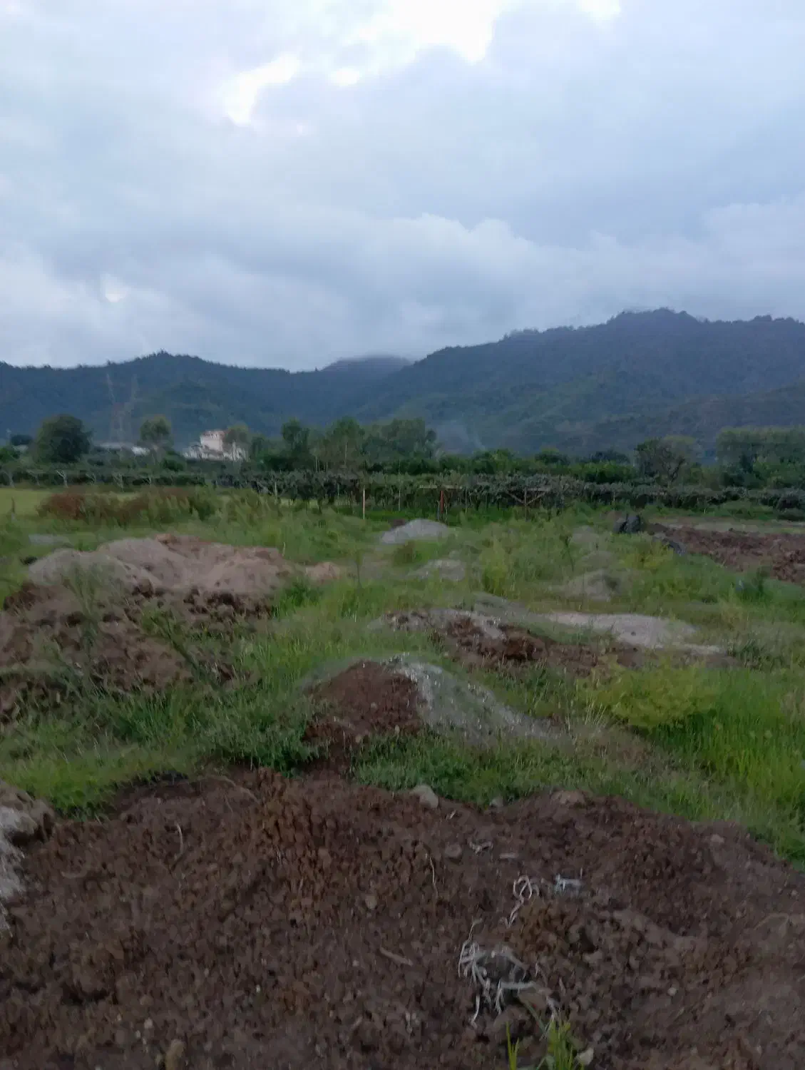 فروش فوری|فروش زمین و ملک کلنگی|لیسار, |دیوار