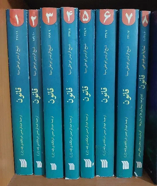 ۵ عنوان کتاب|کتاب و مجله تاریخی|بروجرد, |دیوار