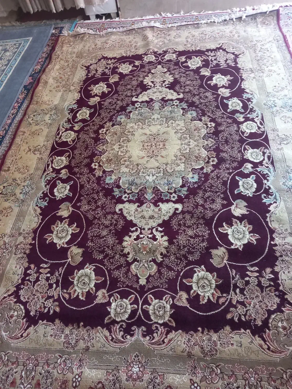 حراج|حراج|شیراز, شهرک مدرس|دیوار