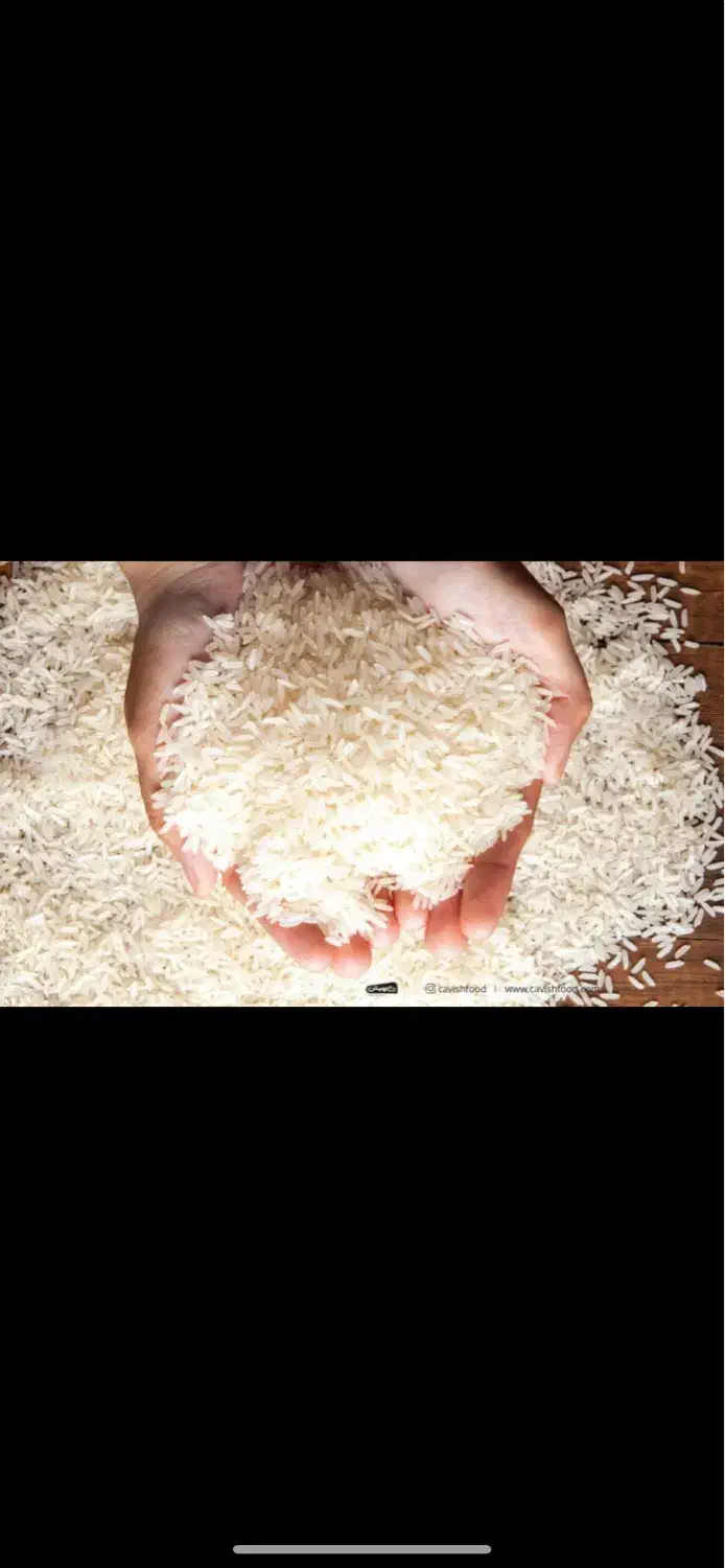 برنج ضیغمی شیروان|خوردنی و آشامیدنی|ایلام, |دیوار