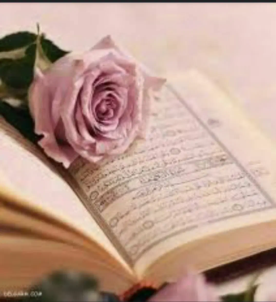 ختم قرآن و چله خوانی|خدمات پذیرایی، مراسم|اراک, |دیوار