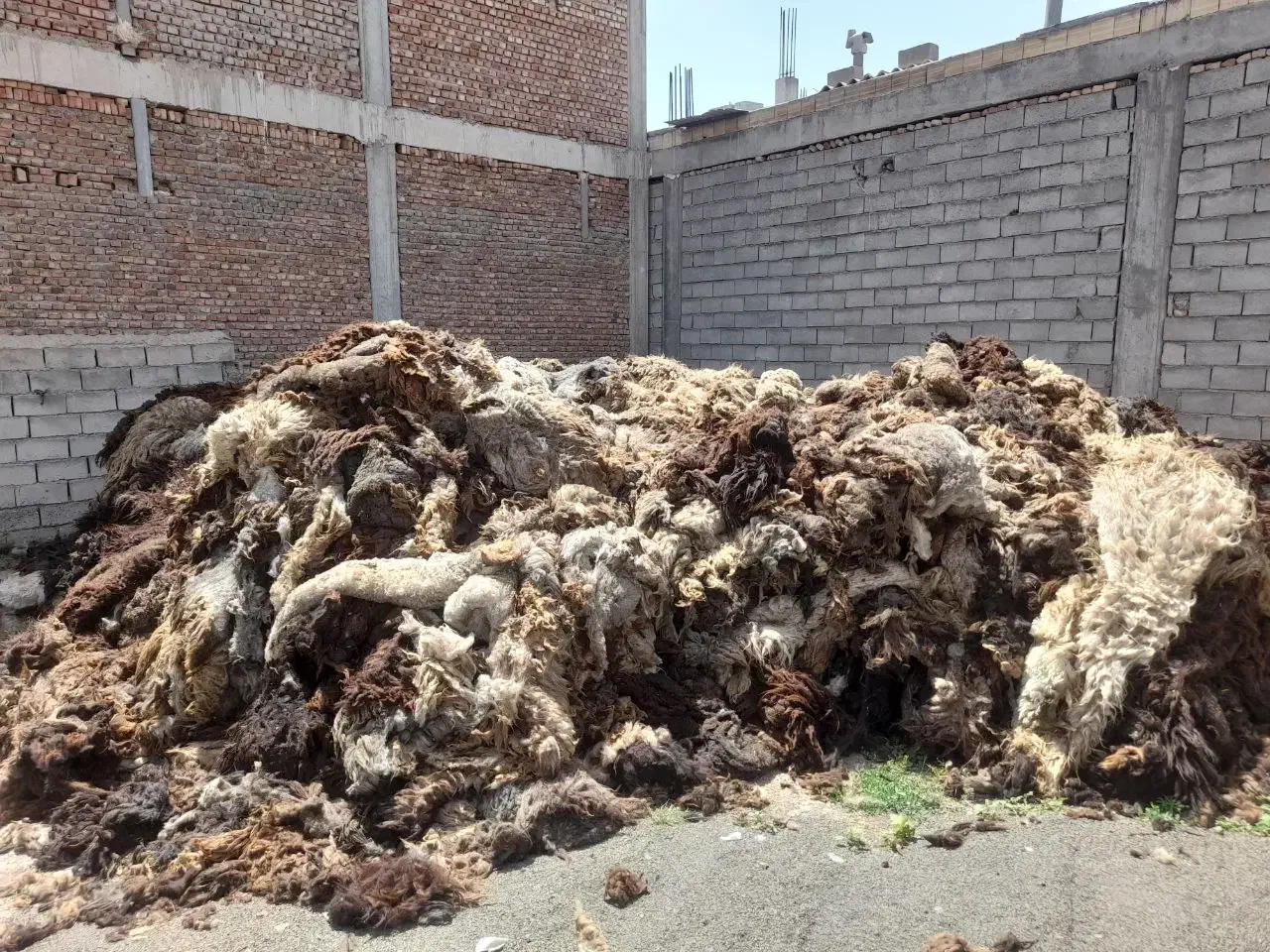 پشم گوسفند یا همان یون|رختخواب، بالش، پتو|ملکان, |دیوار