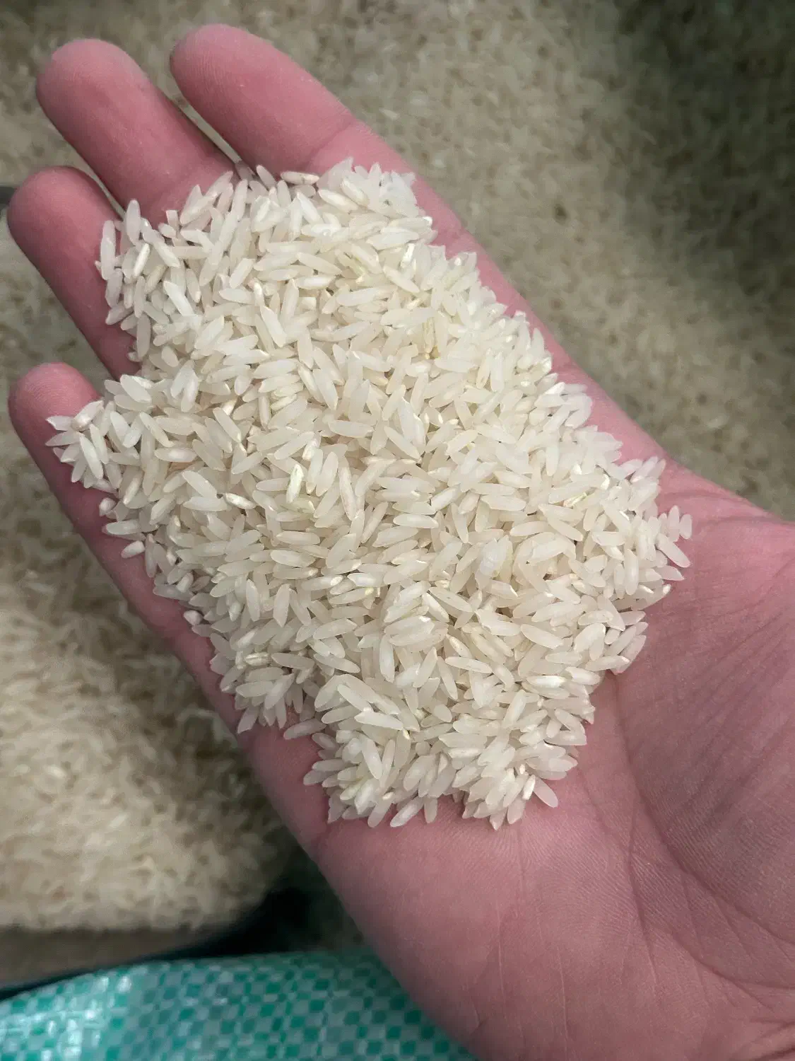 برنج کشت دوم طارم امراللهی|خوردنی و آشامیدنی|سرخرود, |دیوار