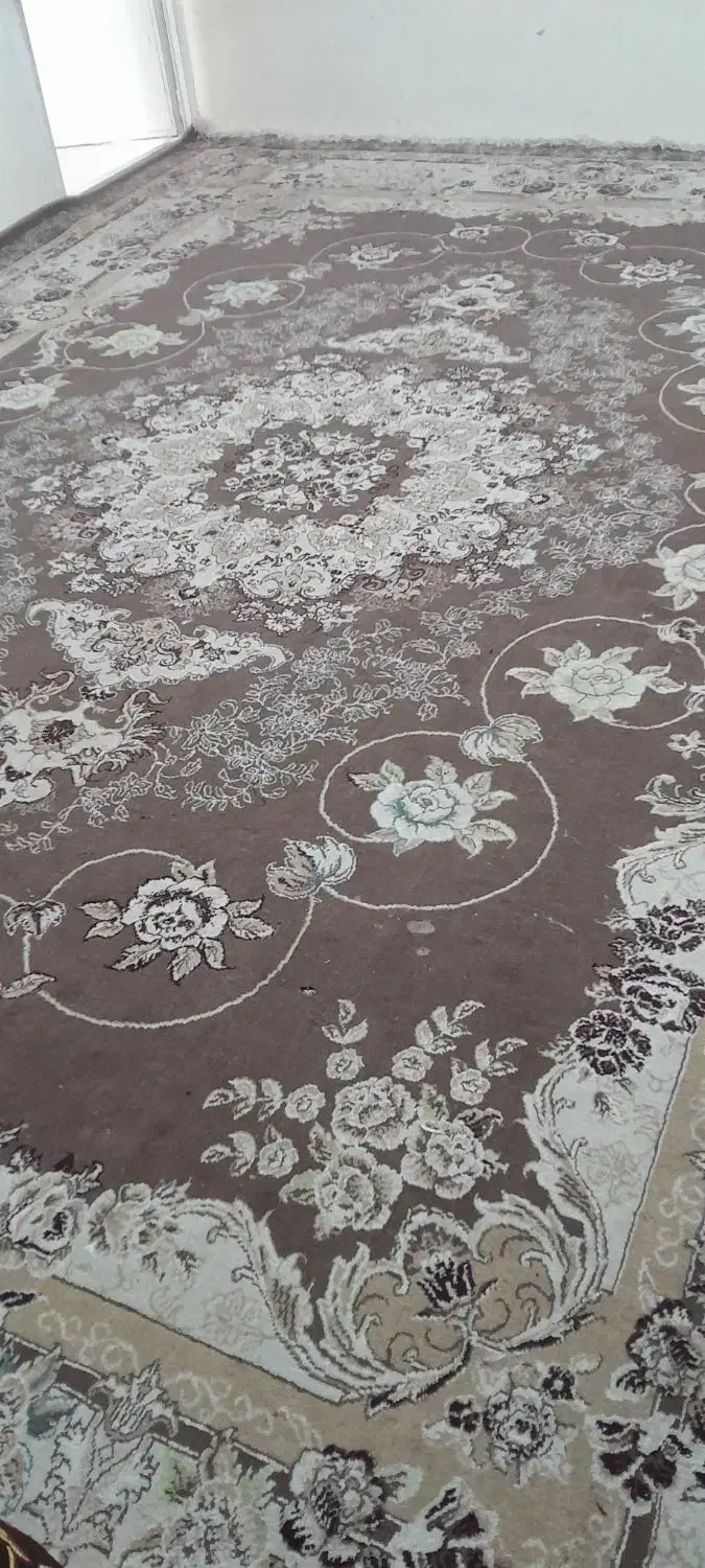 قالی دوازده متری|فرش|کوهدشت, |دیوار