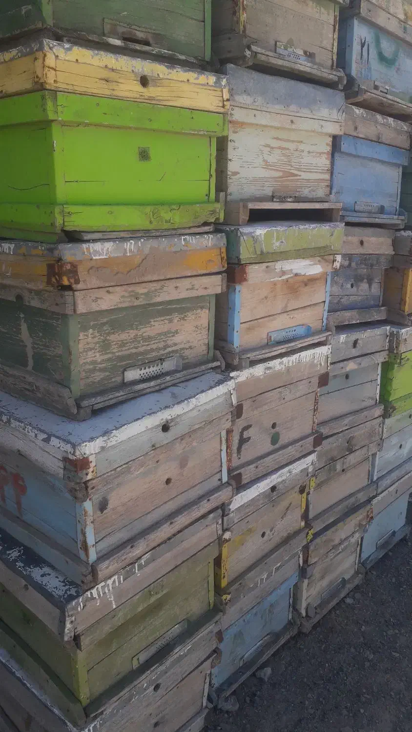 کندو|لوازم جانبی حیوانات|بیرجند, |دیوار