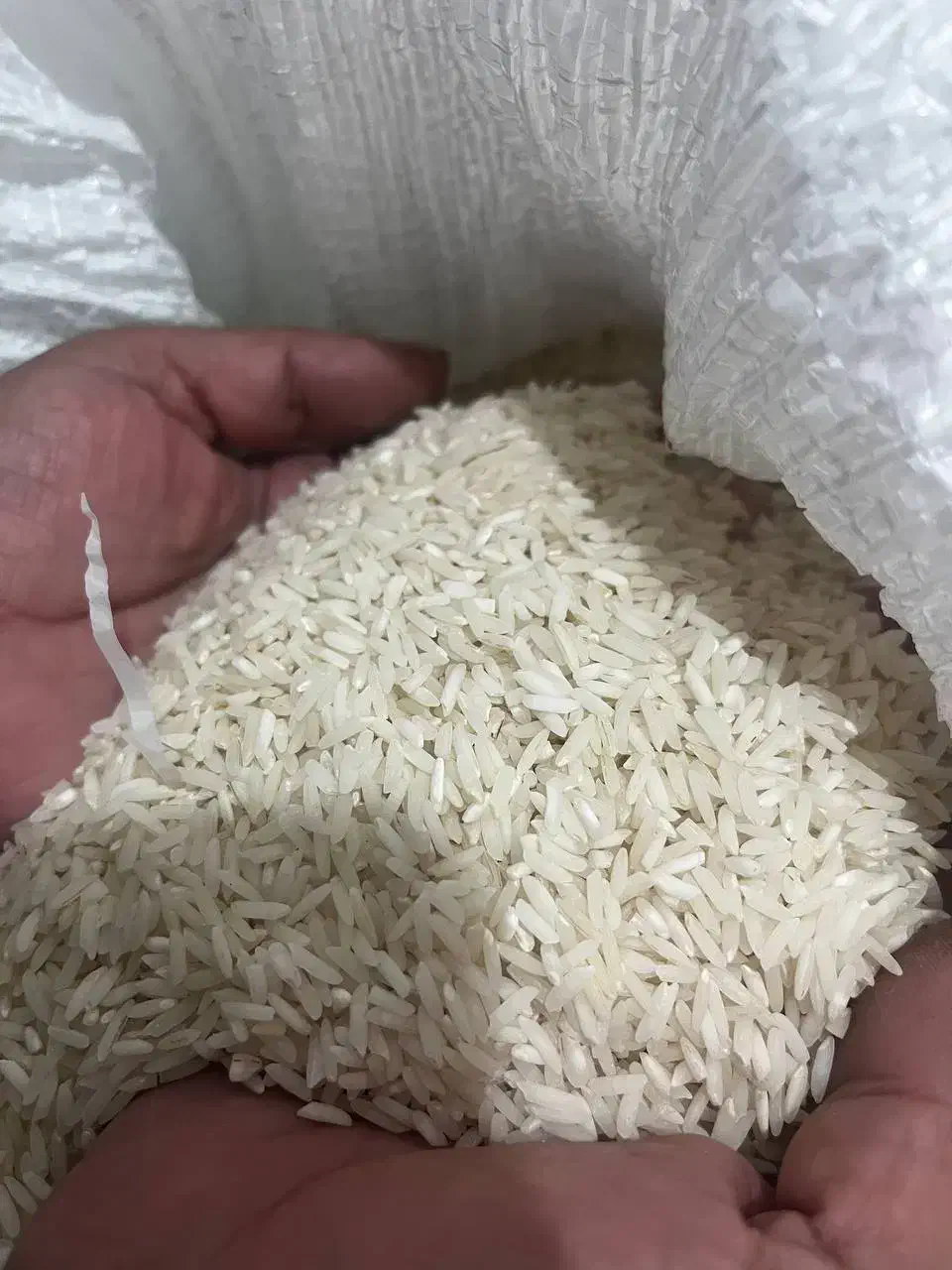 برنج هاشمی مناسب|خوردنی و آشامیدنی|رشت, یخسازی|دیوار