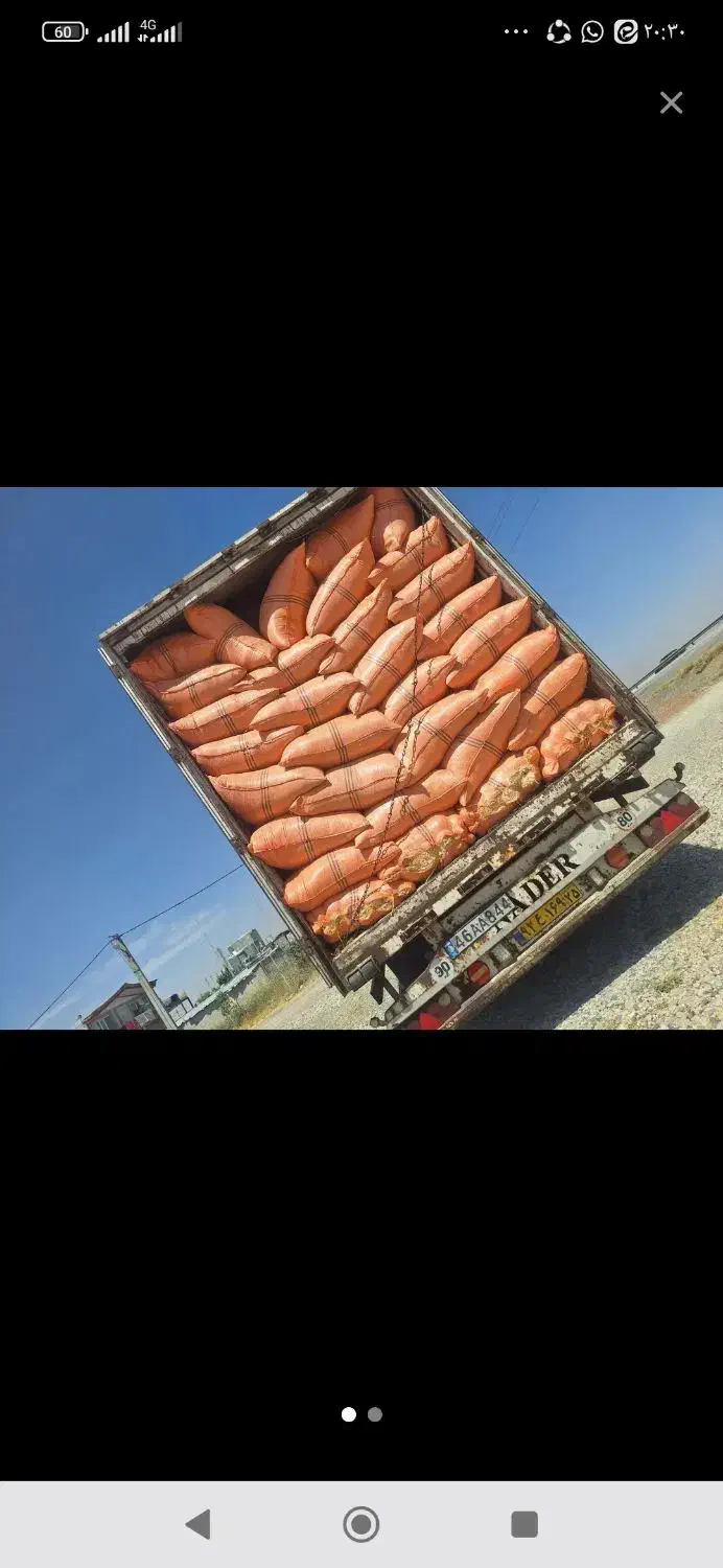 کاه گندم دیم|عمده‌فروشی|گوآور, |دیوار