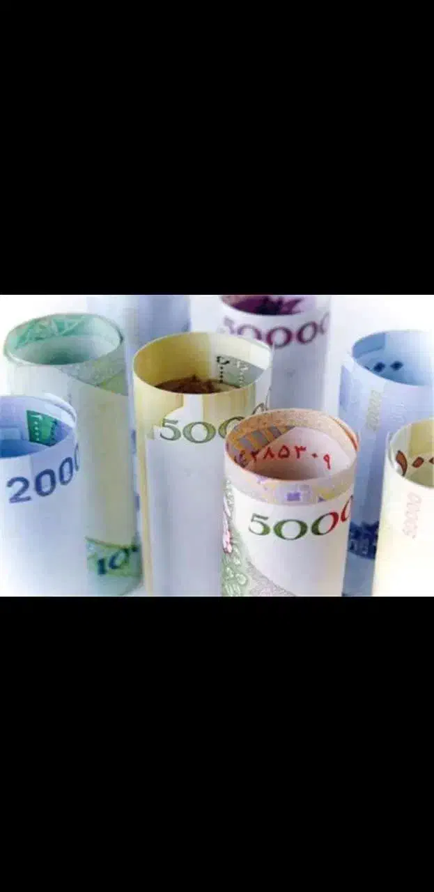 سرمایه نیازدارم|خدمات مالی، حسابداری، بیمه|الشتر, |دیوار