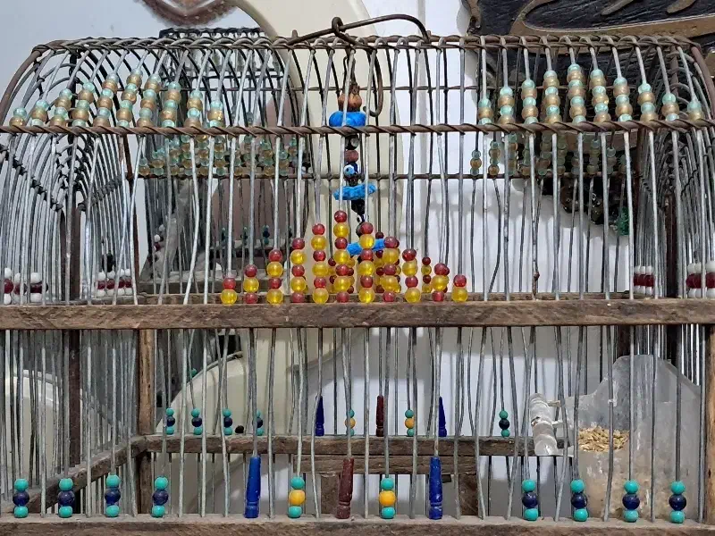 قفس|لوازم جانبی حیوانات|بندر امام خمینی, |دیوار