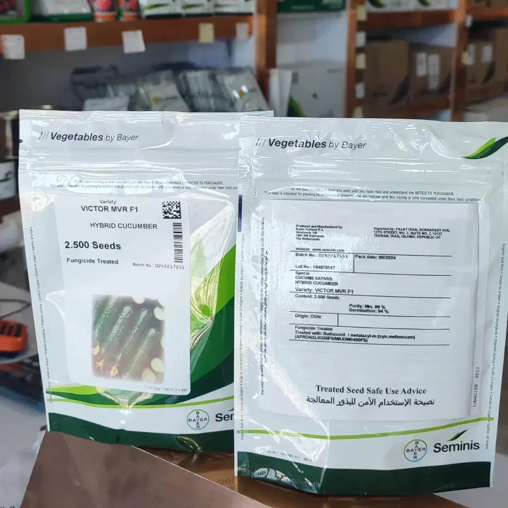 بذر خیار سمینیس اصل|خدمات باغبانی و درختکاری|اصفهان, بهارستان|دیوار