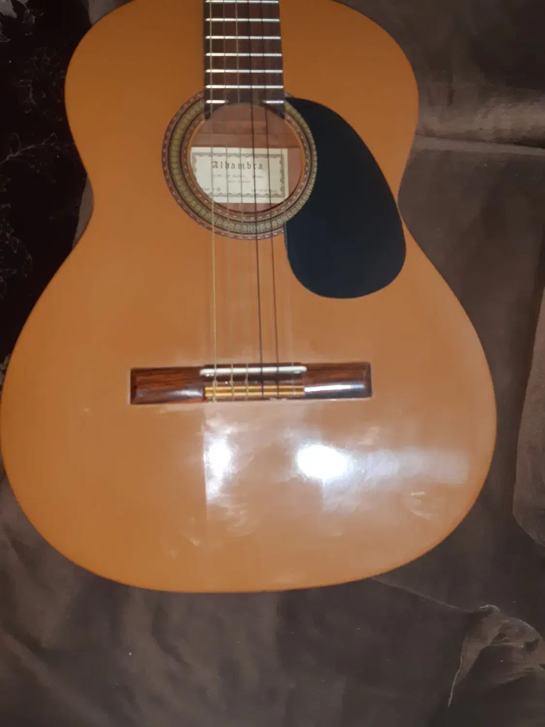 گیتارالحمبرامدلC1|گیتار، بیس، امپلیفایر|کرمان, |دیوار