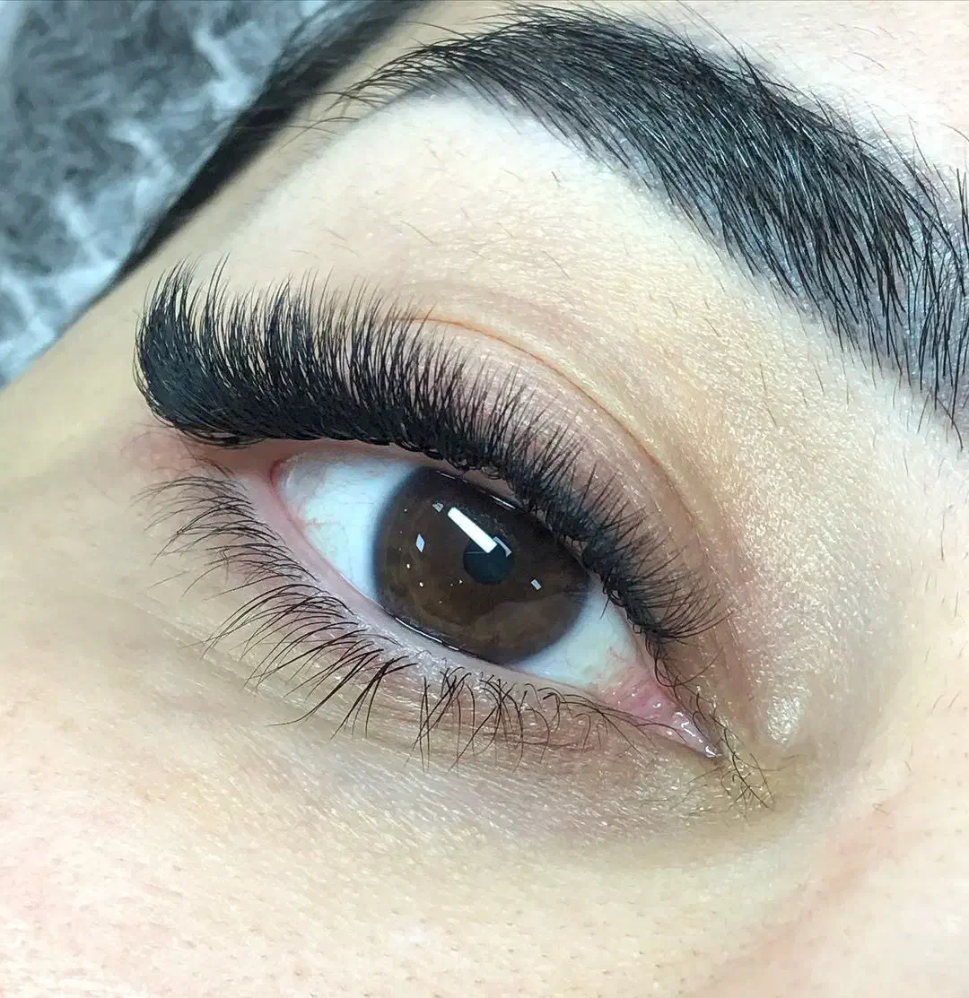 مدل کاشت مژه موقت|خدمات آرایشگری و زیبایی|تهران, سلسبیل شمالی|دیوار