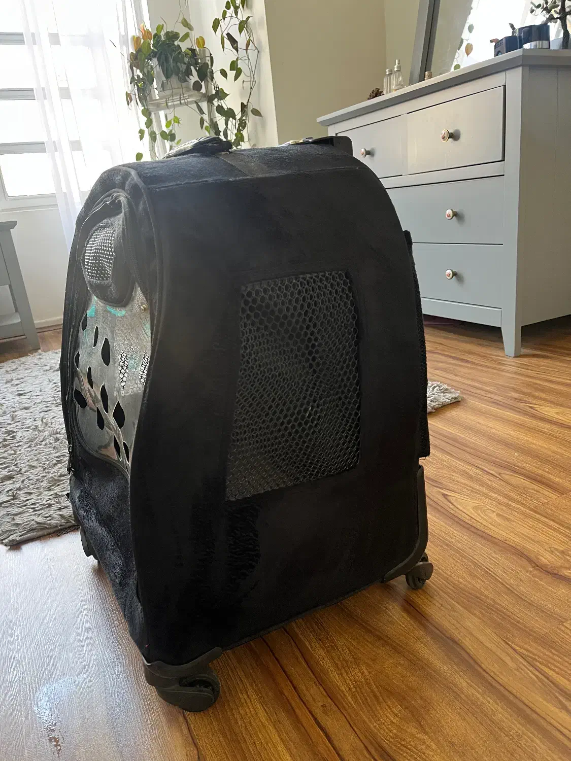 کوله پشتی سگ|لوازم جانبی حیوانات|تهران, پاسداران|دیوار