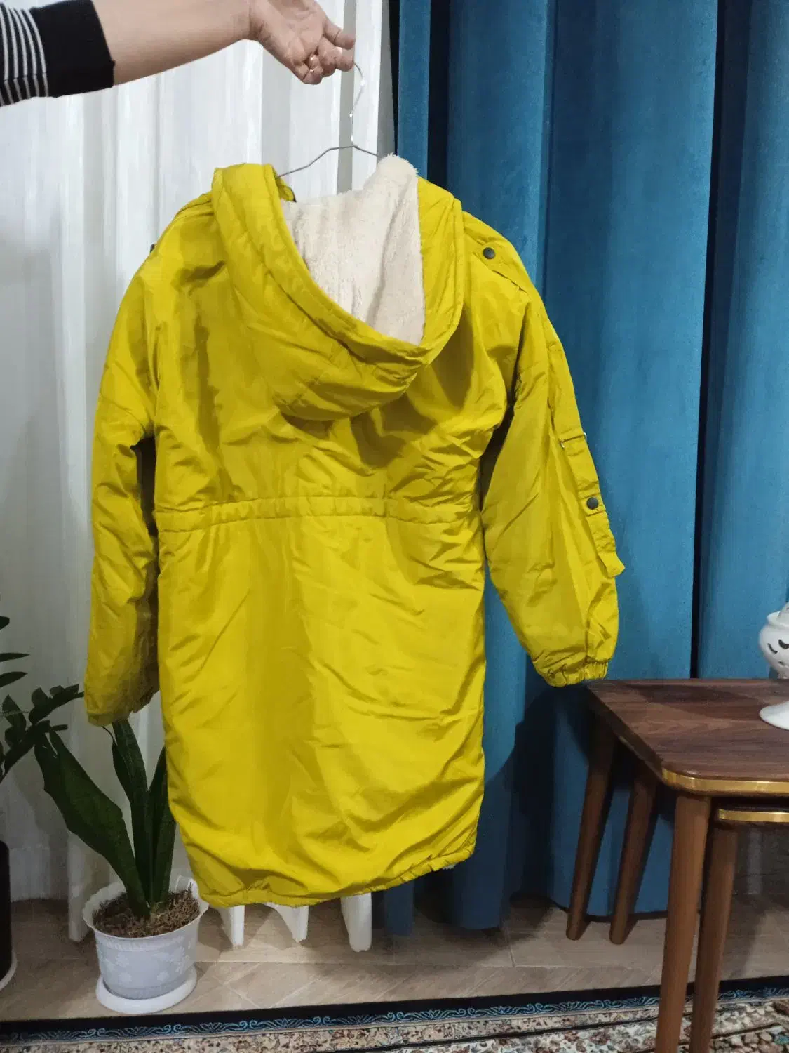 پوشاک|لباس|آشخانه, |دیوار