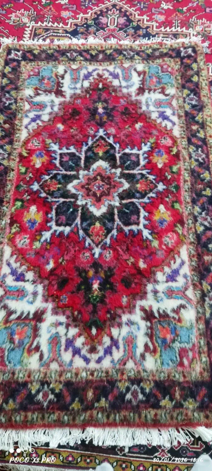 قالی|فرش|خواجه, |دیوار