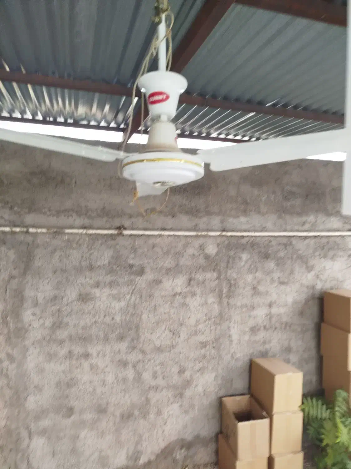 پنکه سقفی در حد نو|پنکه و تصفیهکنندهٔ هوا|کاشان, خزاق|دیوار