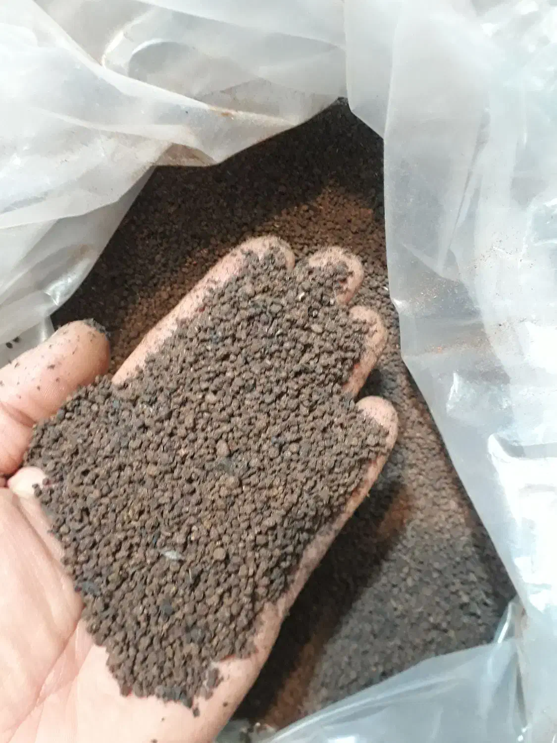 چای کله مورچه درجه یک هندی|خوردنی و آشامیدنی|اصفهان, جلفا|دیوار