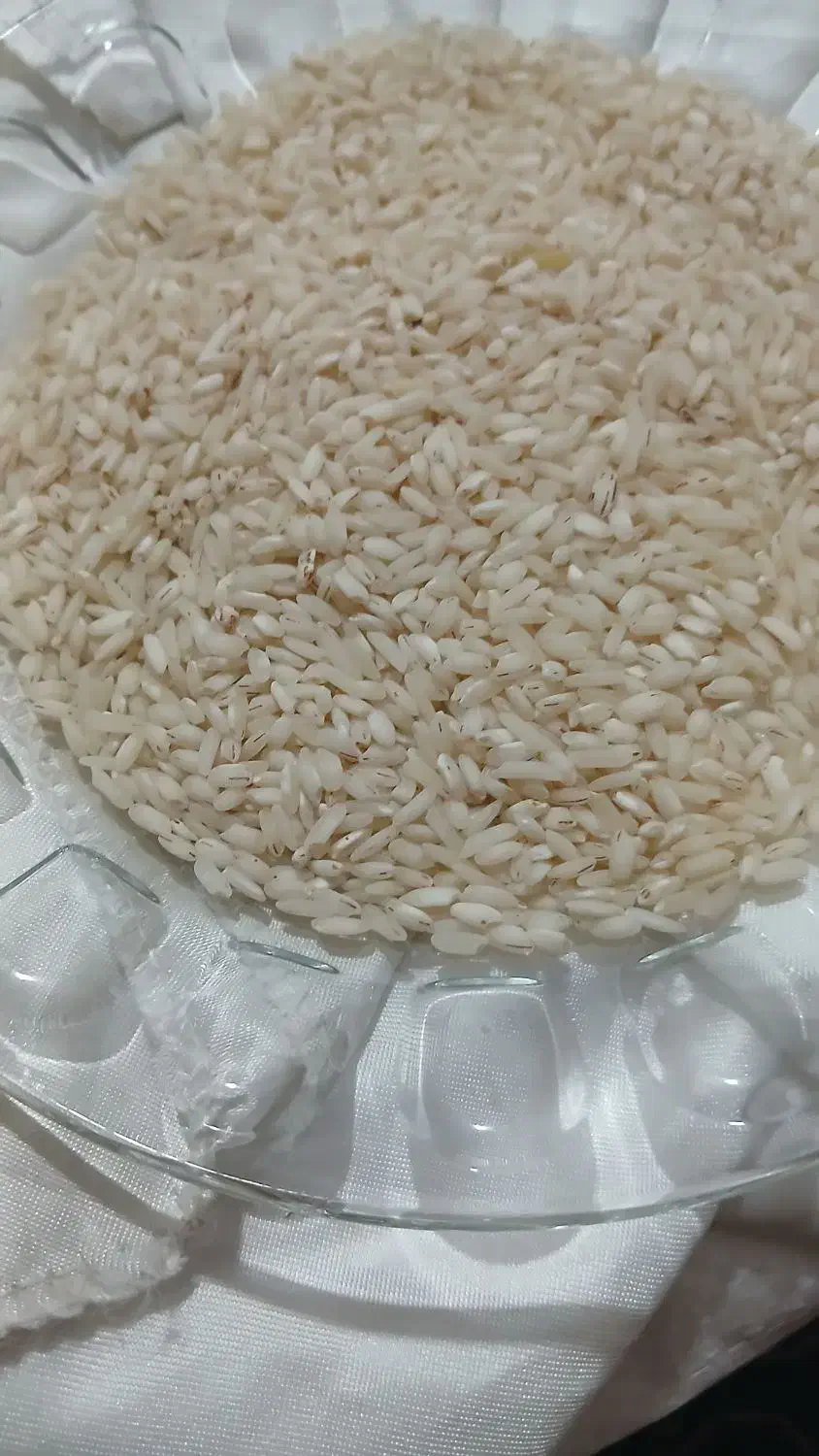 ۵۰ کیلو دخل برنج|خوردنی و آشامیدنی|لاهیجان, طالقانی|دیوار