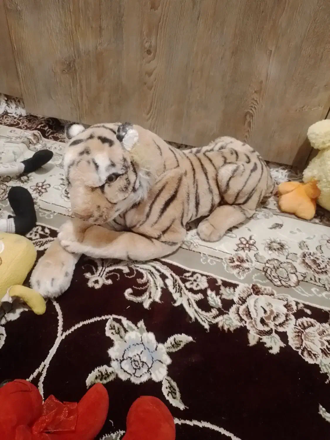 عروسک|اسباببازی|تبریز, |دیوار