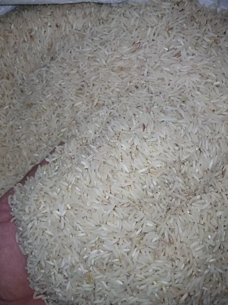 برنج طارم|خوردنی و آشامیدنی|سیروان, |دیوار