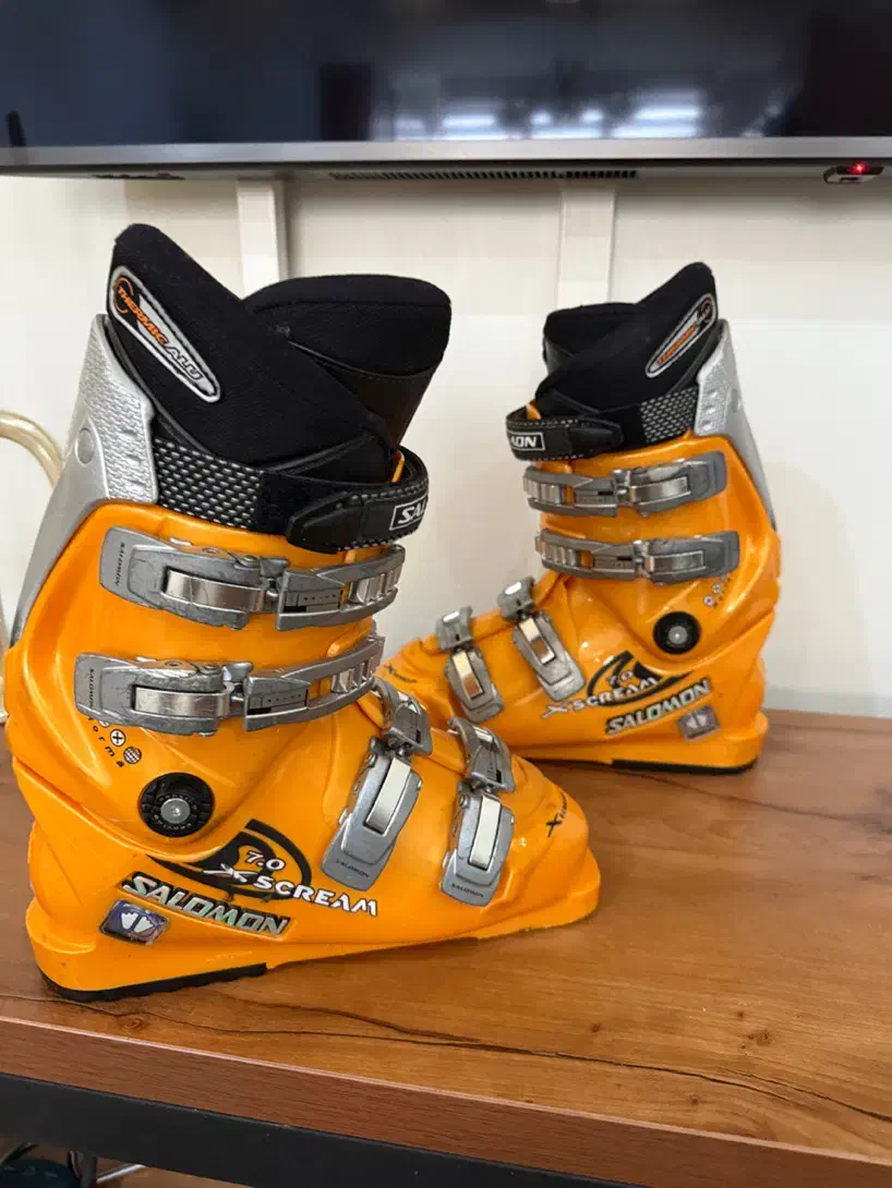 بوت اسکی آلپاین سالامون|ورزش‌های زمستانی|تهران, کوی بیمه|دیوار