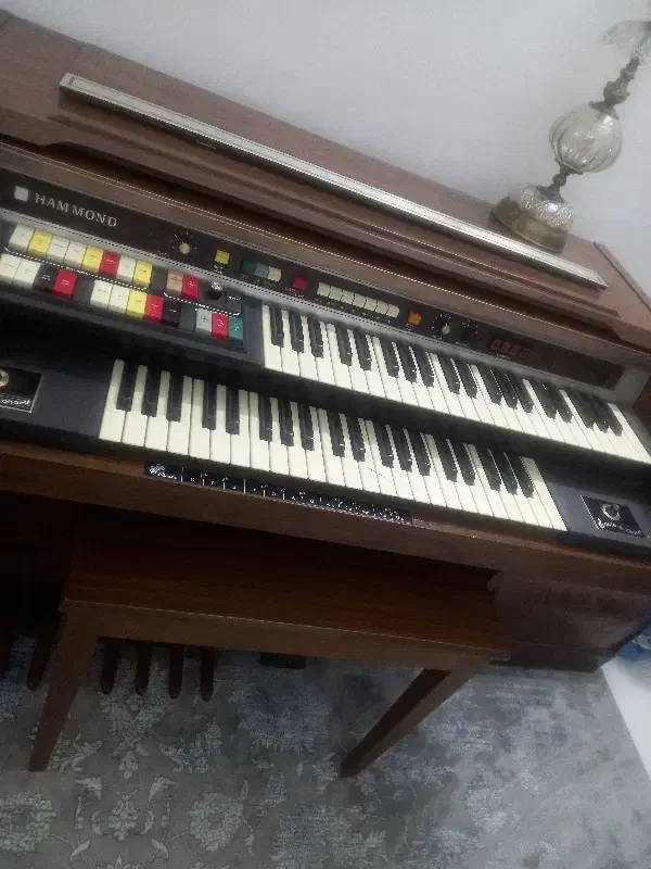 ارگ|پیانو، کیبورد، آکاردئون|لواسان, |دیوار