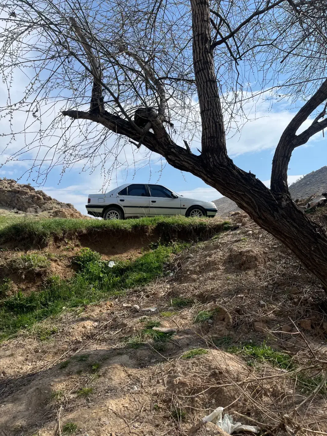 پژو۴۰۵ مدل۱۳۹۱|خودرو سواری و وانت|کرج, کرج نو|دیوار