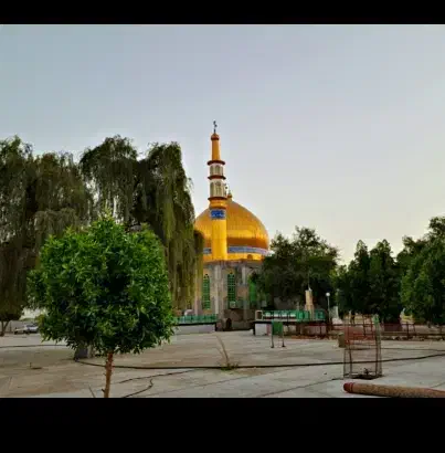 زمین زیارت سید سلیمان|فروش زمین و ملک کلنگی|تخت, |دیوار