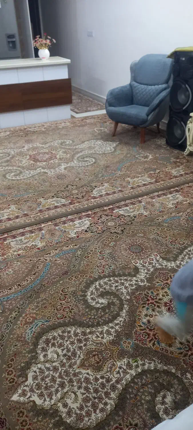 دوتخته فرش ۱۲ متری ۷۰۰ شانه|فرش|کاشان, باغ ماجد|دیوار