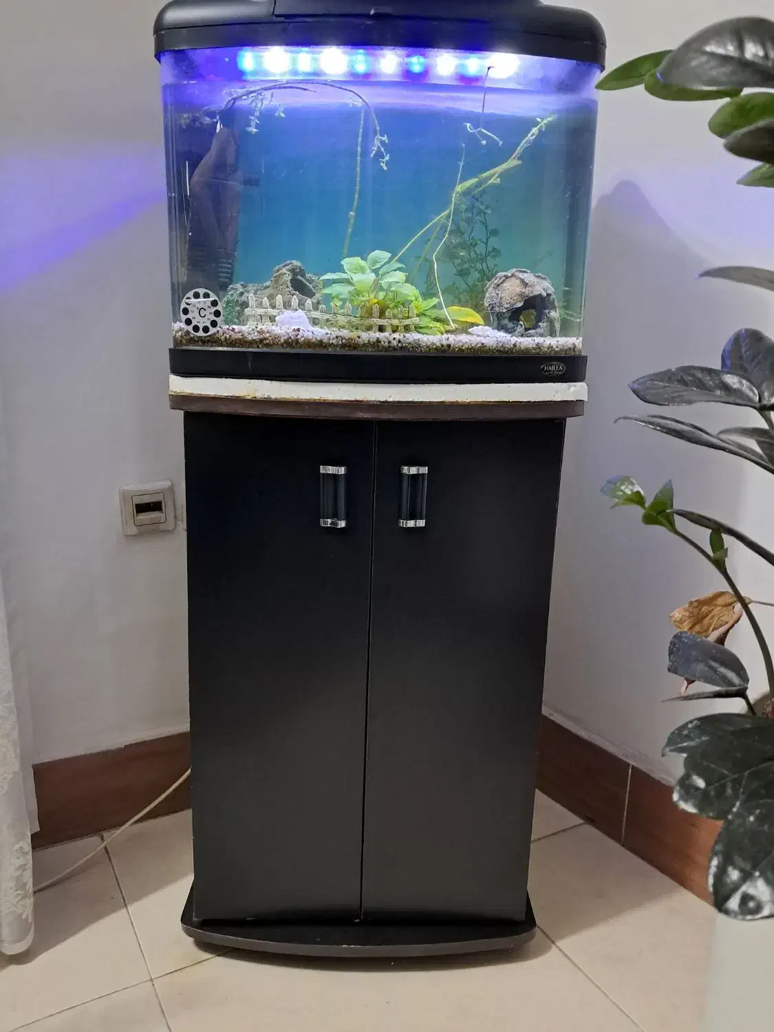 آکواریوم با میز ایستاده دو درب|ماهی|رشت, فلسطین|دیوار