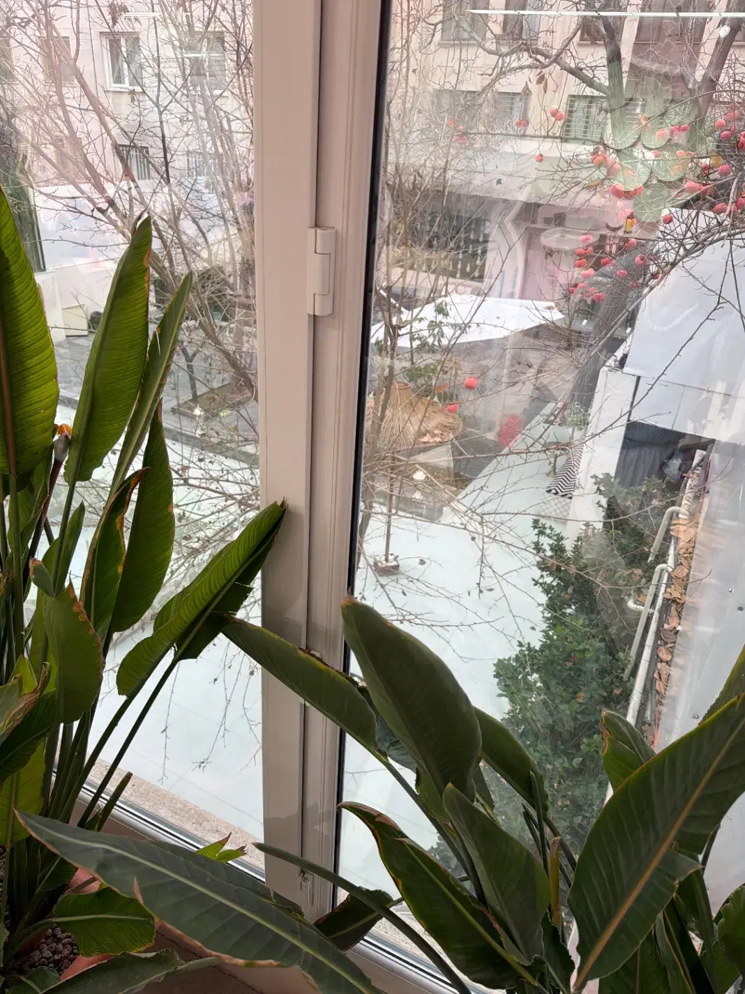 استخدام خانم برای کار در کافه سالن زیبایی|استخدام خدمات فروشگاه و رستوران|تهران, الهیه|دیوار