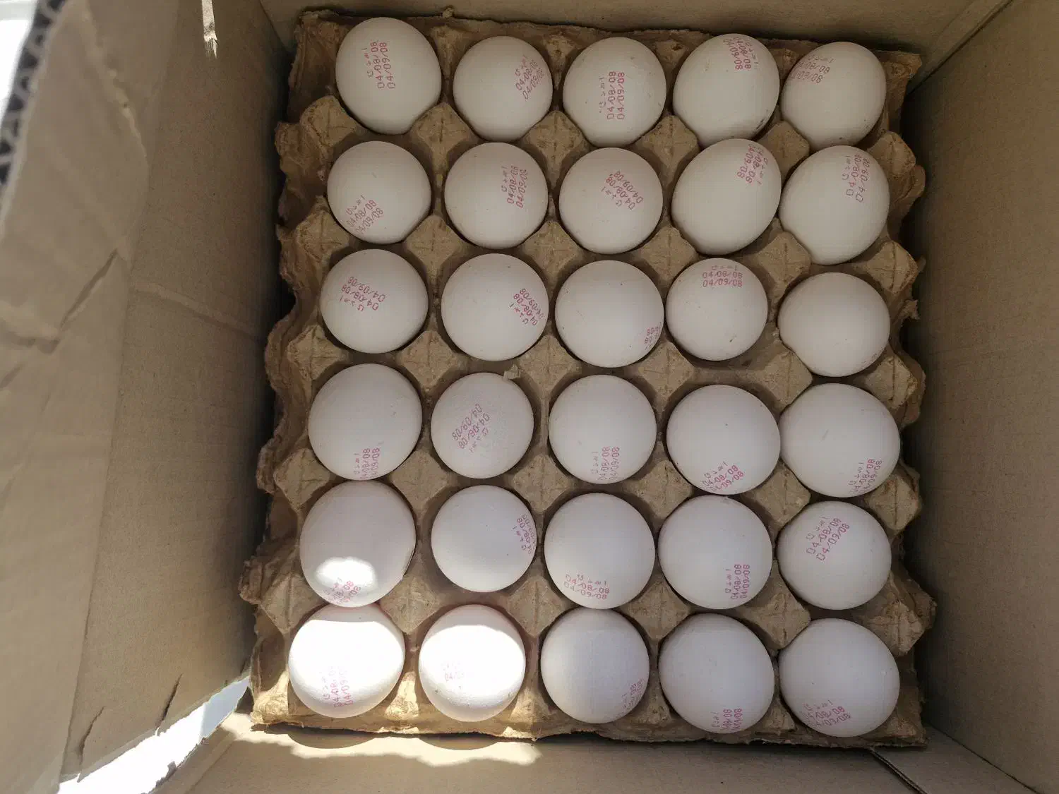 تخم مرغ فله ای و بسته ای|خوردنی و آشامیدنی|شیراز, شریف‌آباد|دیوار