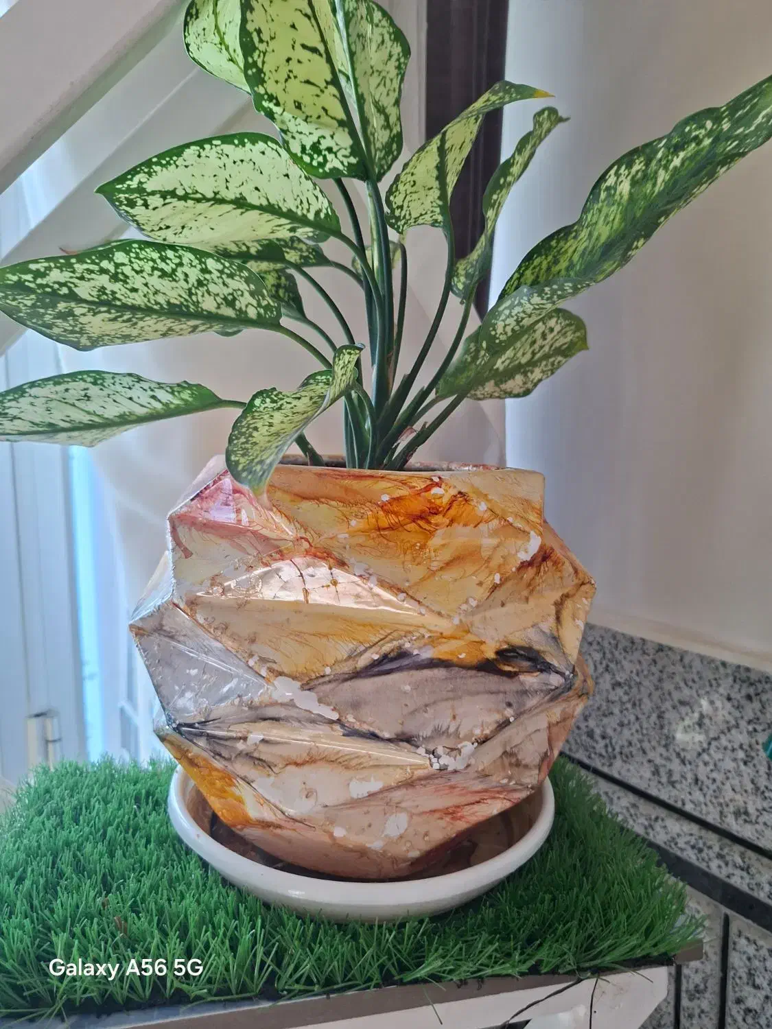 گلدان سفالی|گل و گیاه طبیعی|خمینی‌شهر, |دیوار