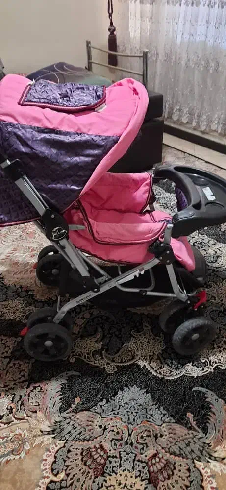 کالسکه دلیجان و روروئک|کالسکه و لوازم جانبی|کرج, باغستان|دیوار