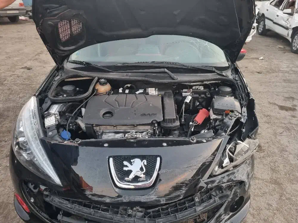 207تصادفی اتومات 401Mc|خودرو سواری و وانت|شیراز, ریشمک|دیوار