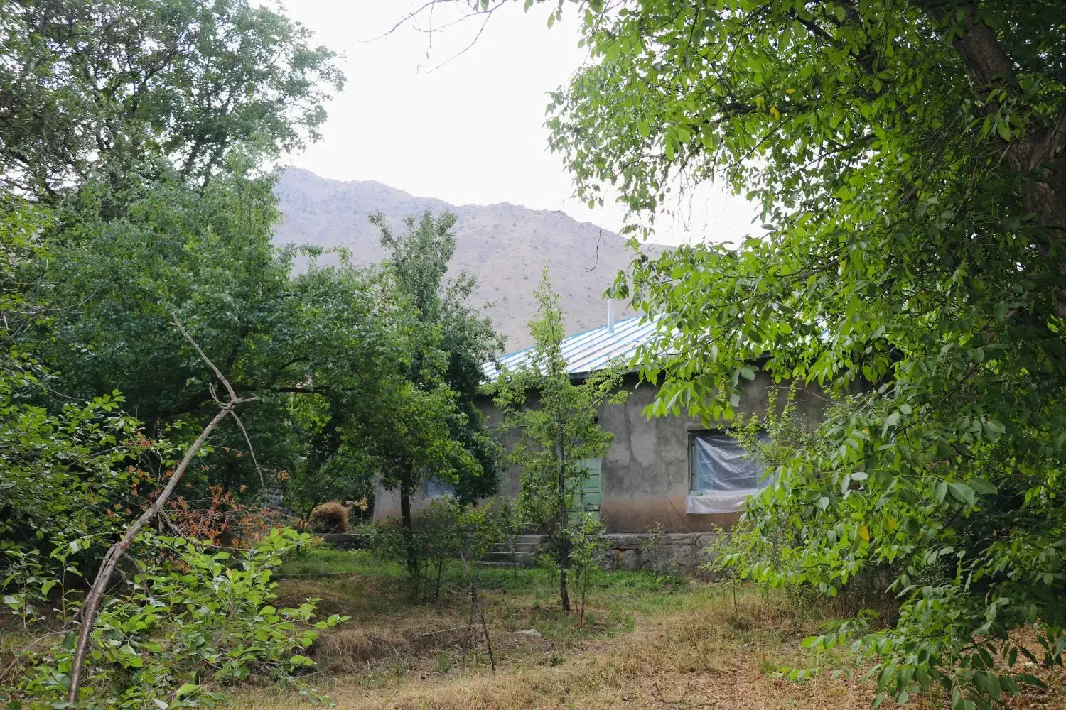 خانه باغ سنددار ۱۱۰۰ متری در روستای امن جاده چالوس|فروش خانه و ویلا|آسارا, |دیوار