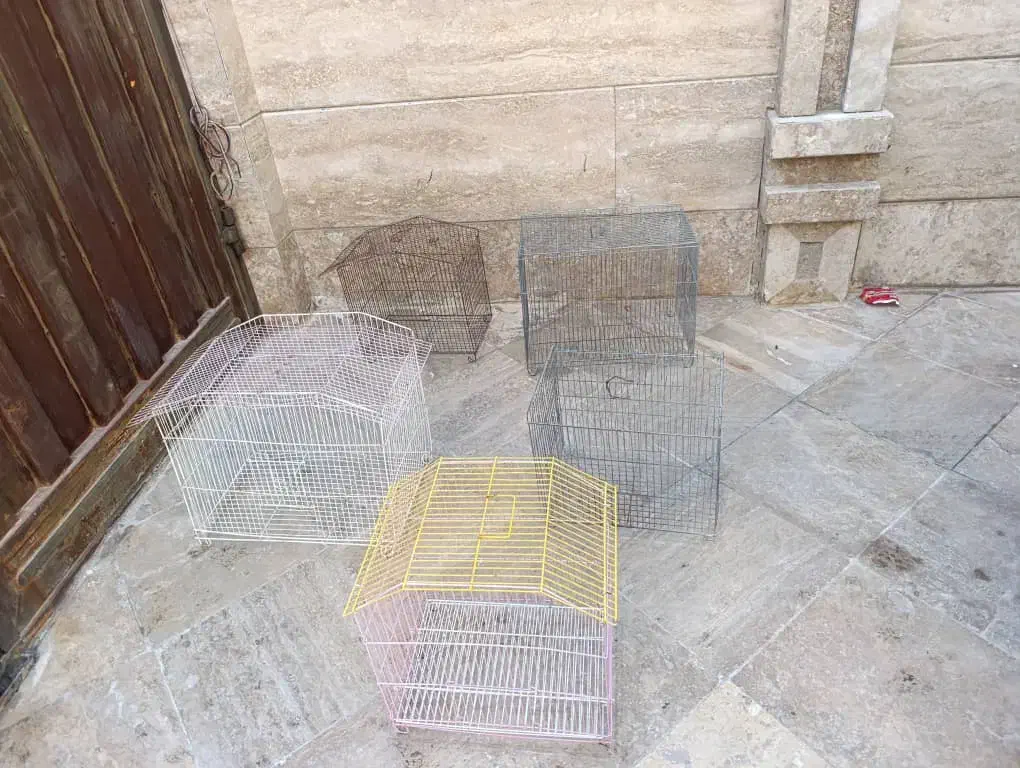 قفس پرنده|لوازم جانبی حیوانات|گراش, |دیوار