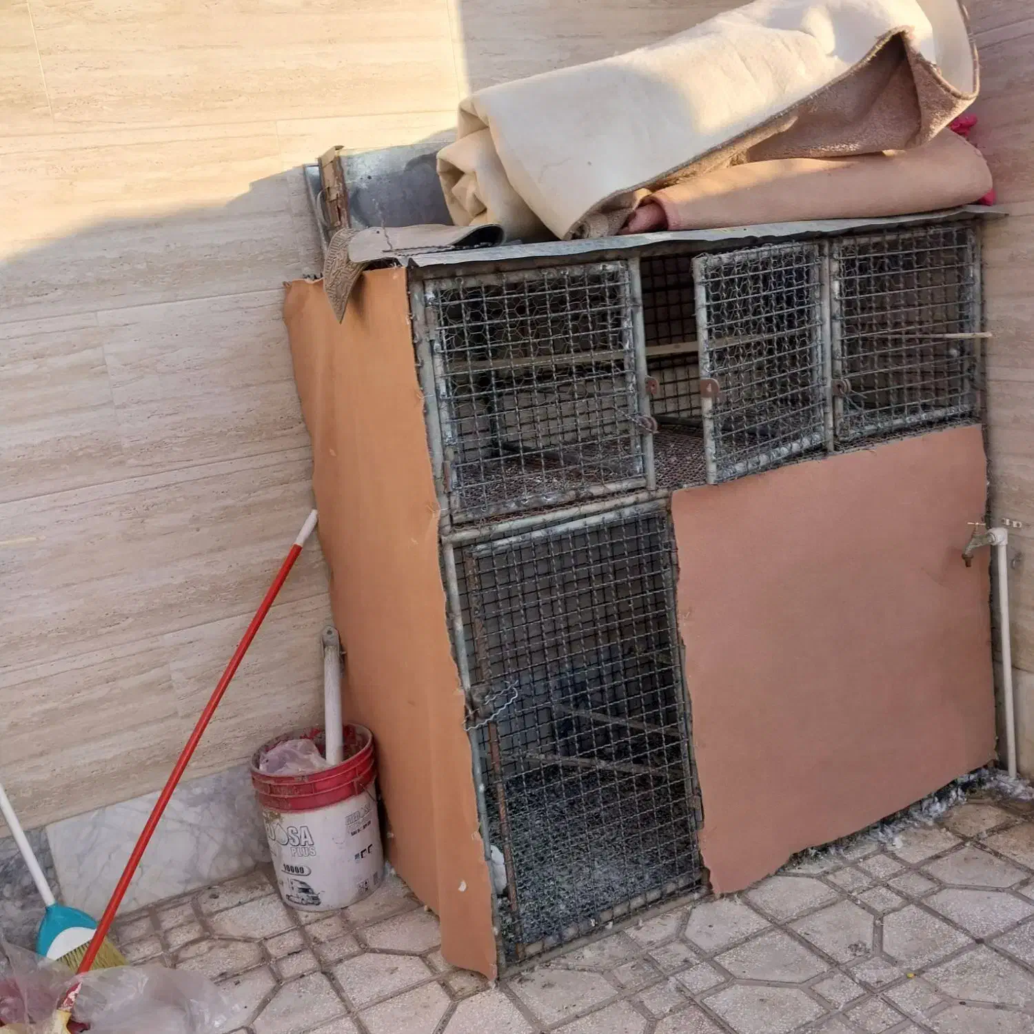 قفس پرنده کفتر|لوازم جانبی حیوانات|سبزوار, قصبه غربی|دیوار