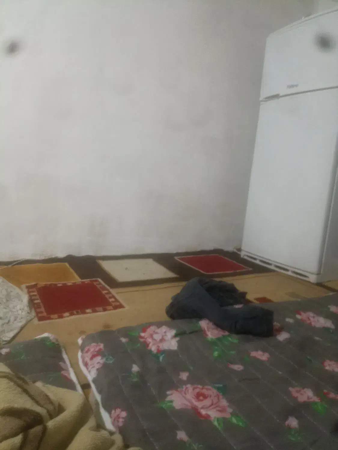 اجاره خانه|اجارهٔ خانه و ویلا|بند زرک, |دیوار